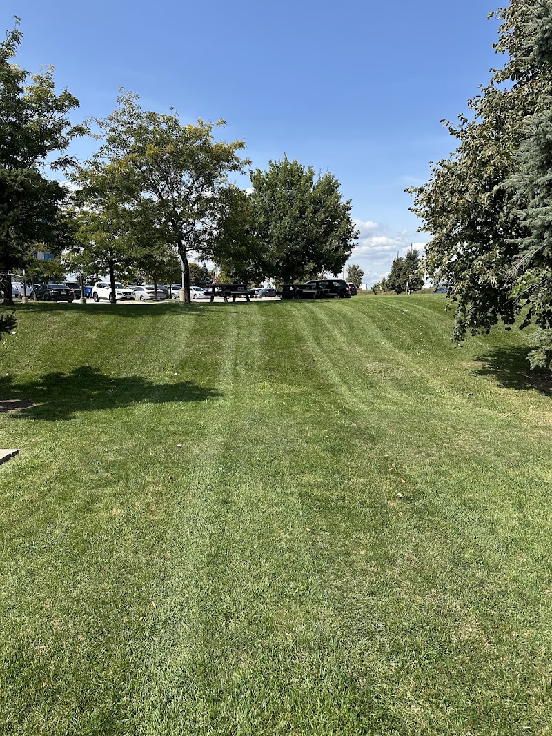 True north Landscape management in Brampton