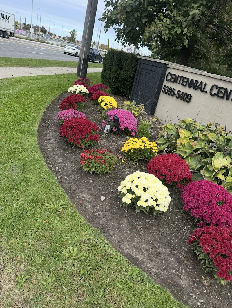 True north Landscape management in Brampton